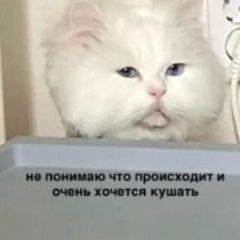 Диана Исакова, 27.03.2000