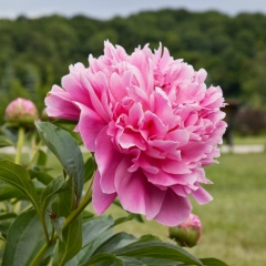 Наталья Ващенко, 03.11.1988, Москва