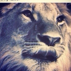 Никита Степашко, 20.08, Алматы