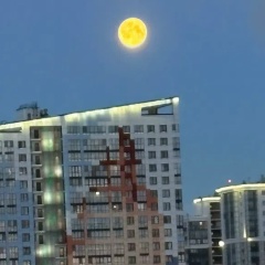 Аделя Михальцова, 09.07, Санкт-Петербург