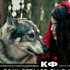 Анна Дрига, Ростов-на-Дону