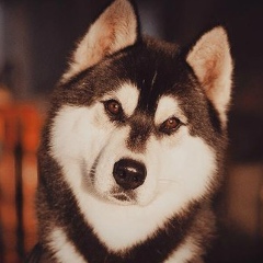 Сергей Ступаков, 29.03, Санкт-Петербург