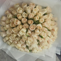 Светлана Бурдунюк, Волгоград