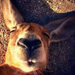 Abdulkarim Kusainov, 25.12, Караганда