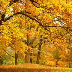 Евгений Петеримов, 15.08.1984, Новосибирск
