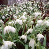 Фарит Калимуллин, 24.09, Уфа