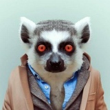 Николай Воронкович, 28.08, Минск