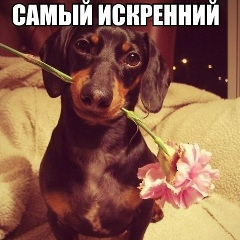 Александра Смыслова, 24.04, Пески