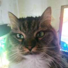 Максим Крючков