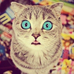 Алия Закирова, 11.11.1989, Казань