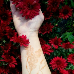 Виктория Власова, 23.04