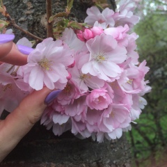 Анна Блок, 31.07.1986, Berlin