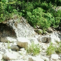 Ирина Савельева, Петрозаводск