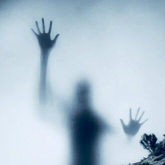 Сергей Дмитриев, Санкт-Петербург