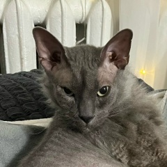 Олег Рауб, 04.04, Москва