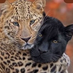 Ерванд Мкртчян, 30.07, Москва