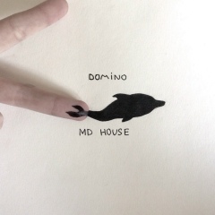 Дмитрий Царев, Воронеж