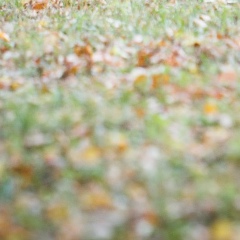 Дмитрий Брашовян, 04.05.1988, Жуковский