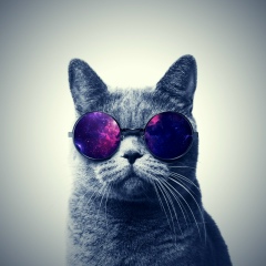 Роман Камалов, 01.12.1986, Санкт-Петербург