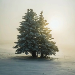 Ксения Солнцева, Москва
