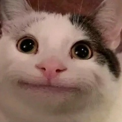 Владимир Черов, 12.05, Москва