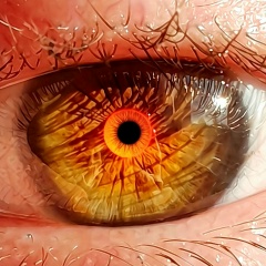 Денис Гаврюшин, 31.07