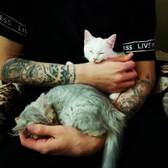 Роман Акимов, 14.03, Курган