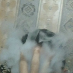 Эльшан Амрахов, Ташкент