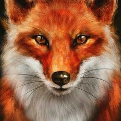 Егор Бугера, 02.08.2003