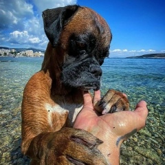 Йурий Л, 01.03, Darwin