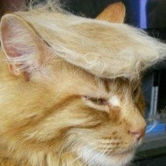 Игорь Акимов, 16.06.1988