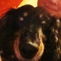 Любовь Пугач, 03.07, Санкт-Петербург