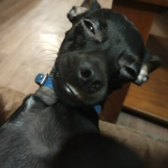 Евгений Лишик, 25.02, Калининград