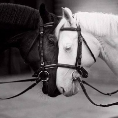 Евгений Сергеевич, 27.06, Тольятти