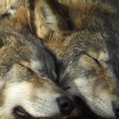 Сабыржан Серикбаев, 24.09.1998, Алматы