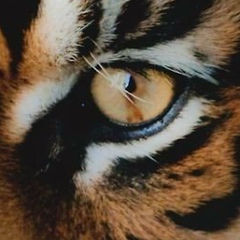 Настена Уманская, 17.03, Туапсе