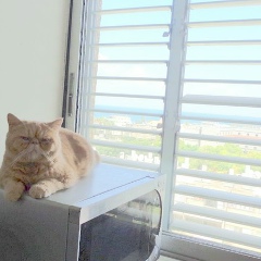 Алексей Аршавин, 07.04.1972, Хайфа