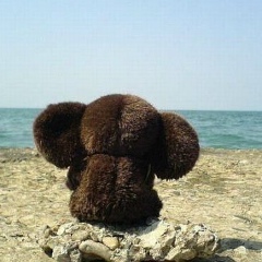 Денис Гуржий, 19.01.1981, Москва