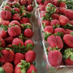 Аксана Амангалиева, 16.02.1980, Актау