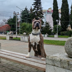 Мурик Мурадьянц, 09.04, Туапсе