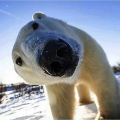 Серёжа Натаров, 23.08.1984, Кишинев