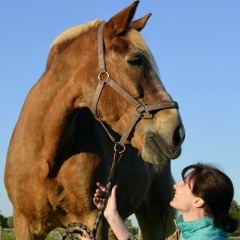 Марина Демихова, 02.03.1987, Санкт-Петербург