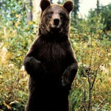 Владимир Пайко, 02.12