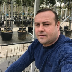 Эдуард Вердеш, Menen