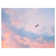 Назым Калидолдаева, 23.10.1998, Астана