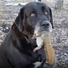 Эранит Скуфович, 14.12.1987, Москва