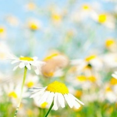 Галина Смирнова, Краснодар