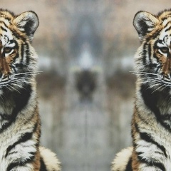 Владимир Германов, 03.06