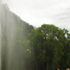 Екатерина Кудряшова, Киев