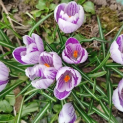 Мария Михайлова, 23.04, Москва